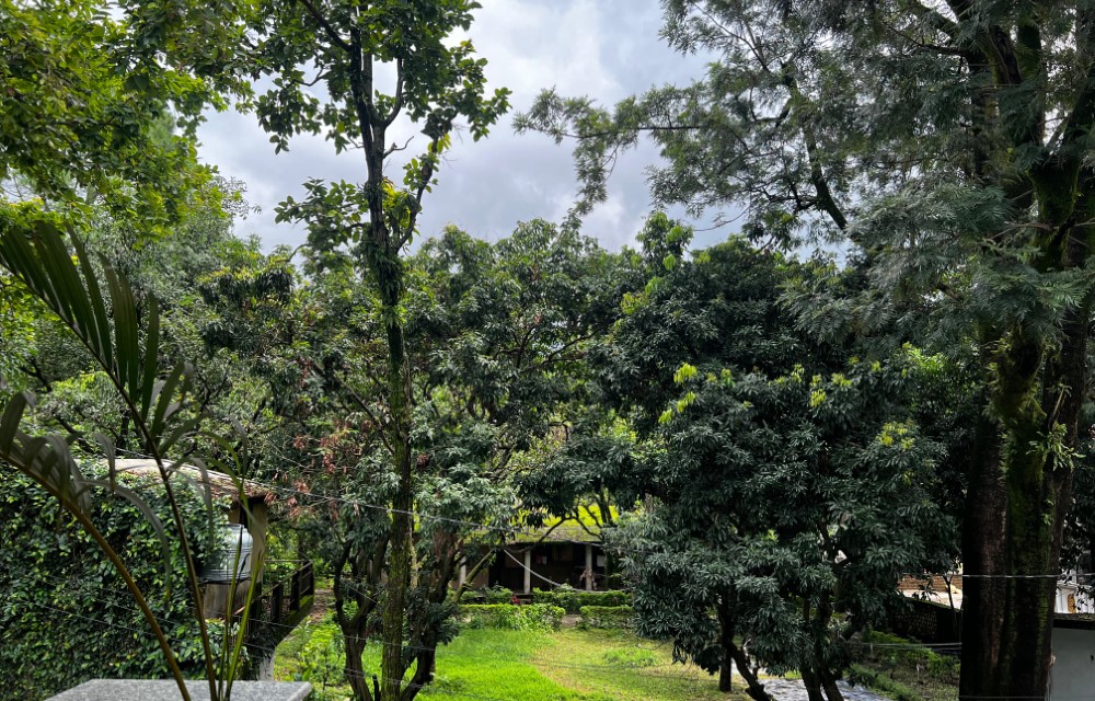 Malsi Hill View Homestays Gallery
