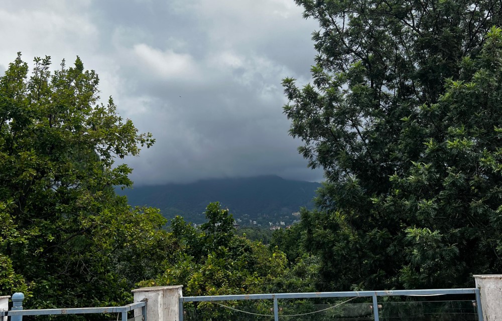 Malsi Hill View Homestays Blog Pictures