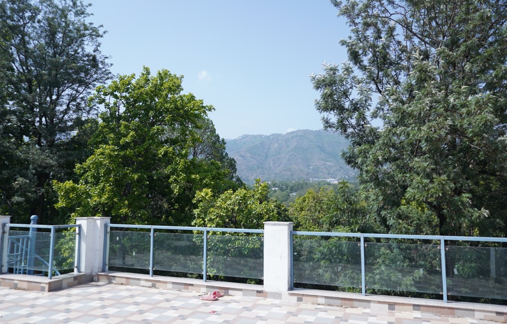 Malsi Hill View Homestays About Gallery 5